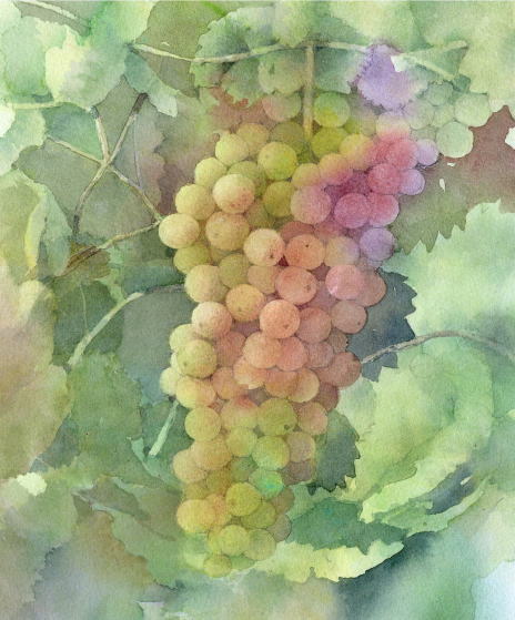 ⭐日本画 葡萄Ⅰ 葡萄Ⅱ